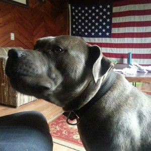 Meet your Posher, Clyde